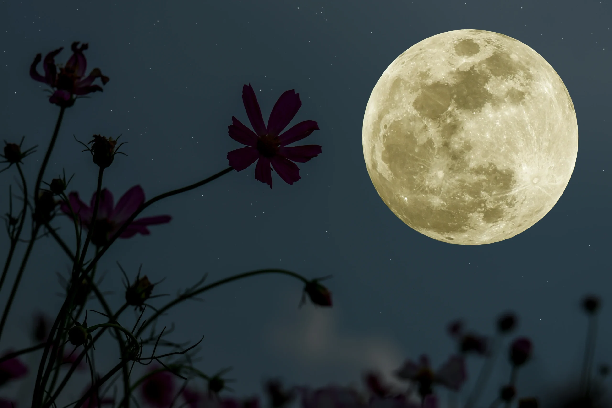 Shutterstock 1696655671